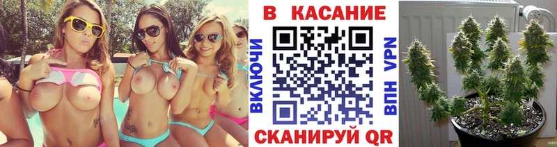 Где купить наркоту Курильск Галлюциногенные грибы  Мефедрон  Бошки Шишки  MEGA маркетплейс  КОКАИН 