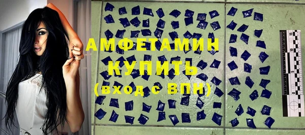 хмурый Сосновый Бор