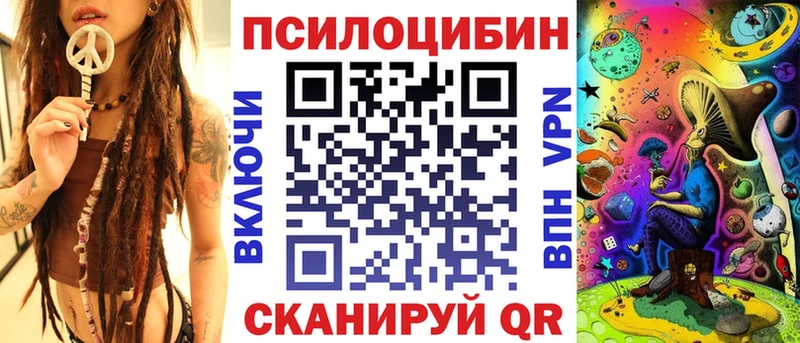 Галлюциногенные грибы мицелий  Курильск 